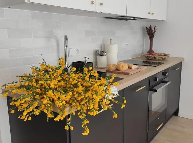 Zrodlana - Caloroczne Na Wylacznosc Апартаменты *